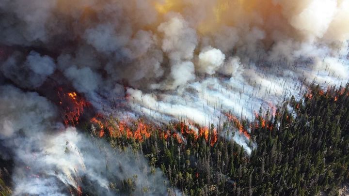 Авиалесоохрана искусственно вызывает дожди для борьбы с лесными пожарами