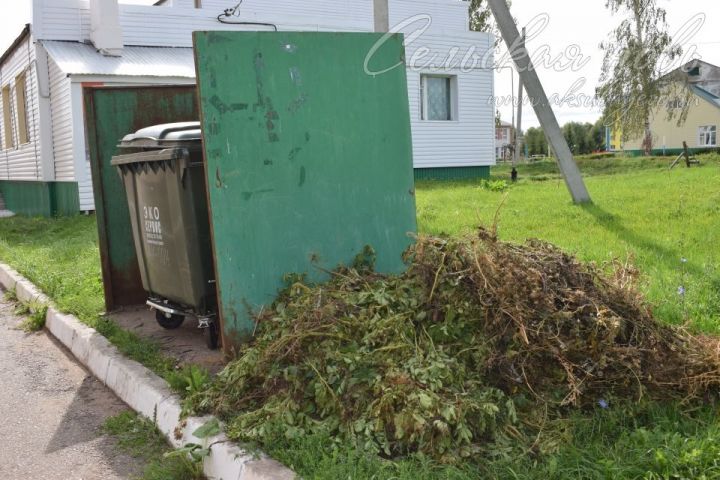 Аксубаевцы выбрасывают ботву вместо мусора