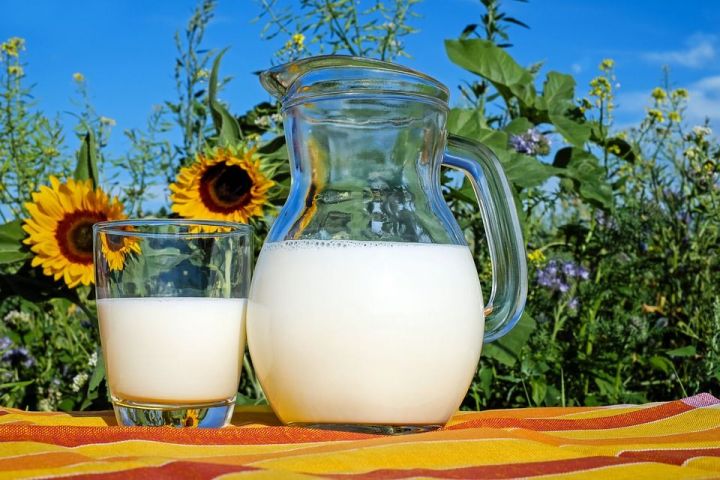 Стали известны районы с высокими и низкими закупочными ценами на молоко