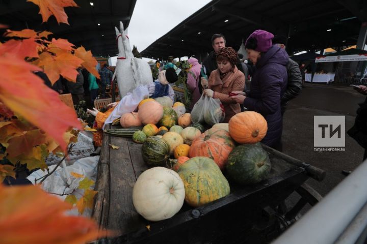 В Татарстане традиционные осенние сельхозярмарки начнут работу с 14 сентября