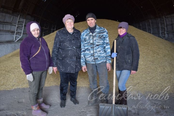 В Аксубаевском районе засыпают на хранение лучшее зерно