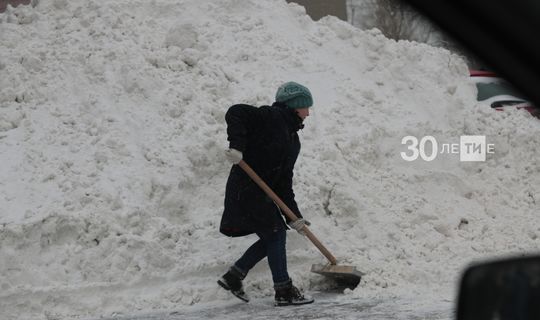 Стало известно, где предстоящей зимой в Татарстане будут хранить снег