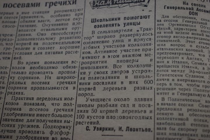 Аксубаевская газета 1949 года: посадка деревьев
