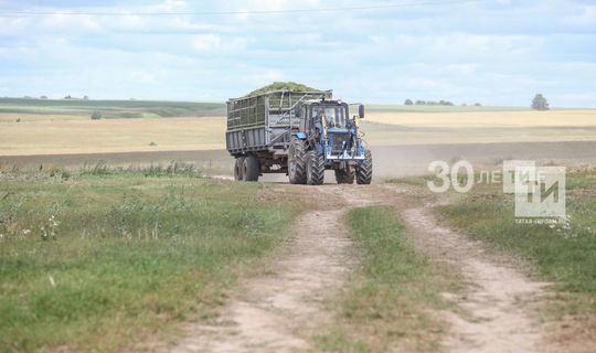 В Татарстане продолжает расти число потребкооперативов