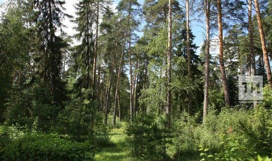 В Татарстане увеличилось число площадок для написания экологического диктанта