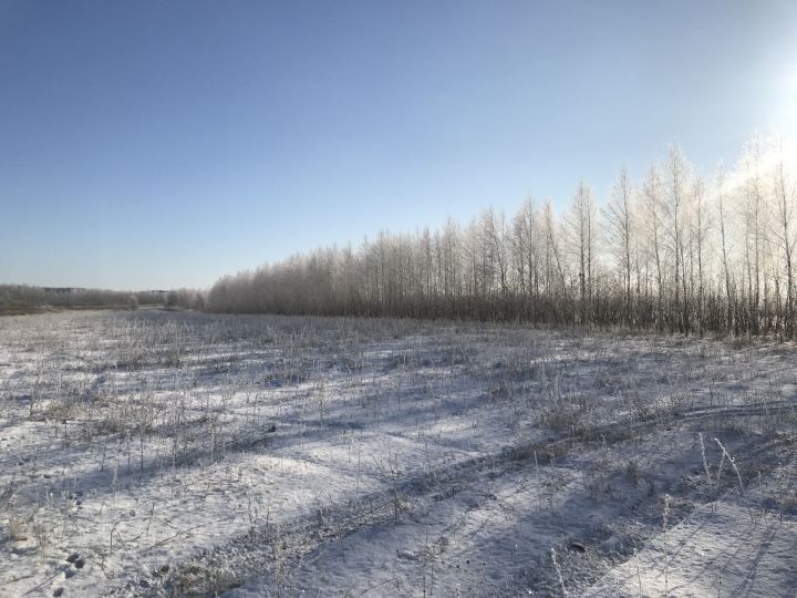 В Аксубаевском районе столбики термометров опустятся до 23 градусов мороза