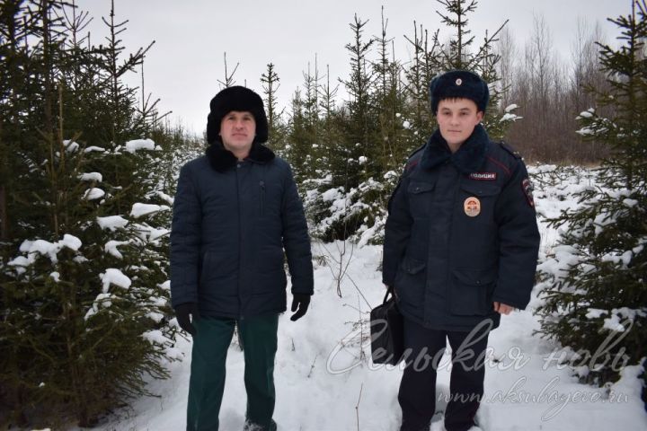 Аксубаевские леса под защитой инспекторов