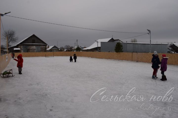 Афиша спортивных мероприятий в период новогодних праздников в  Аксубаевском районе