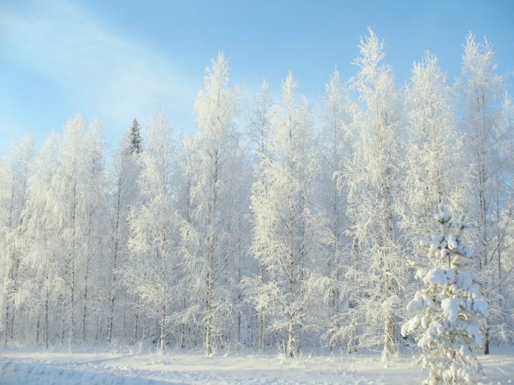 Татарстанцев предупредили об аномальных холодах