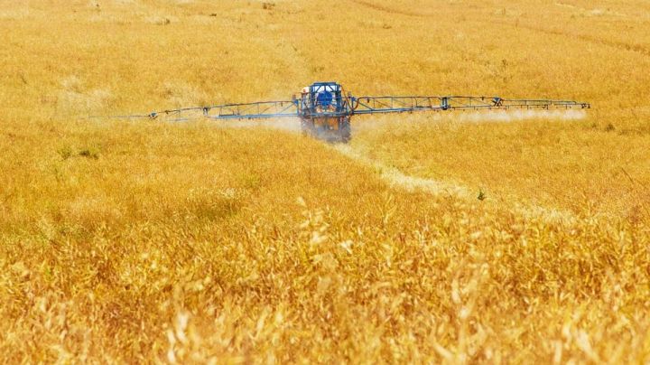 Аграрии Аксубаевского района могут получить субсидии Минсельхозпрода РТ на приобретение минеральных удобрений