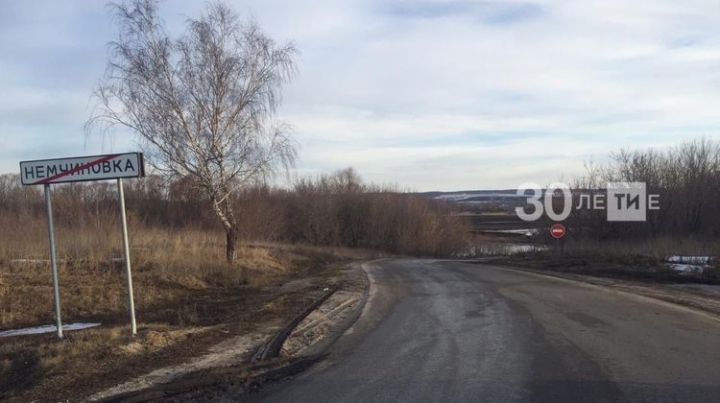 Один из четырех затопленных в Татарстане мостов освободился от воды
