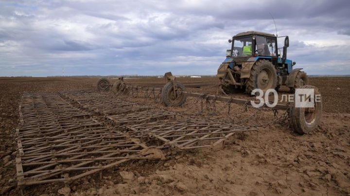 К весенне-полевым работам приступили все районы Татарстана