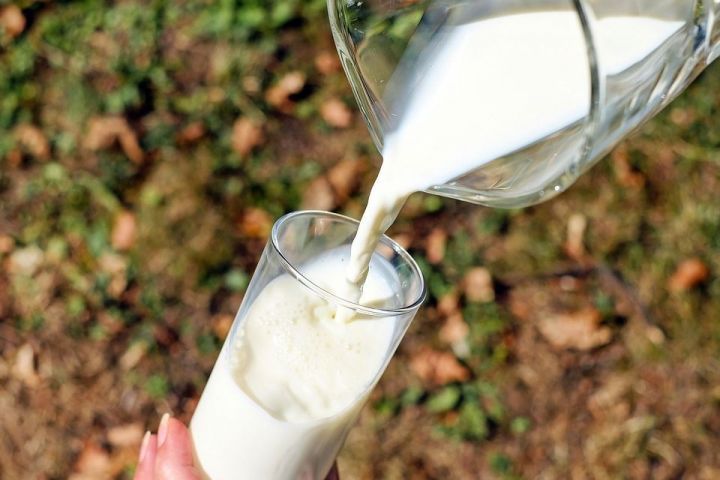 Для аксубаевских частников молоко, как средство заработка