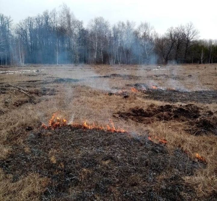 Аксубаевские лесоводы противостоят возгораниям в лесу