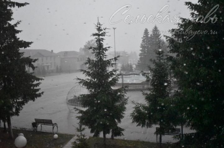 В Татарстане объявлено штормовое предупреждение из-за дождя и сильного ветра