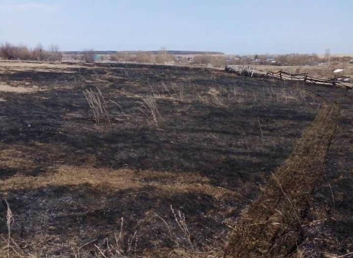 Житель Аксубаевского района едва не поджег дом, сжигая траву