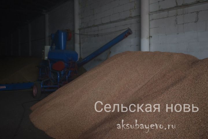 В хозяйствах Аксубаевского района готовят семена для посева
