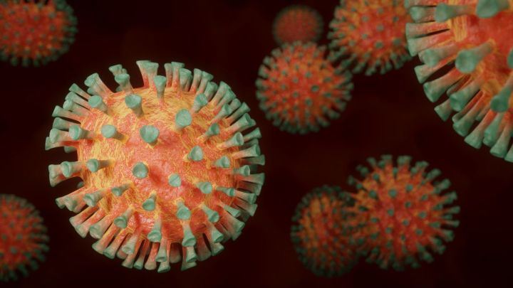 84 новых случая заражения коронавирусной инфекцией подтверждено в Татарстане