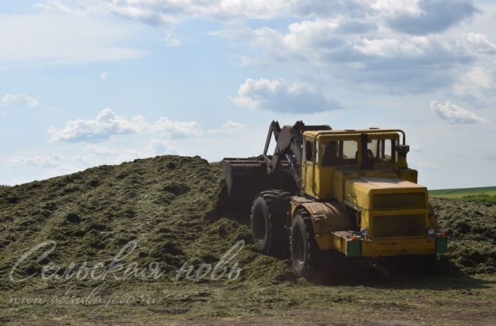 Кормовики Аксубаевского района заполняют сенажные ямы