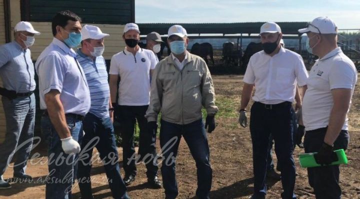 КФХ «Сулейманов И.Г.» в Аксубаевском районе посетил заместитель Премьер-министра РТ-министр сельского хозяйства и продовольствия РТ