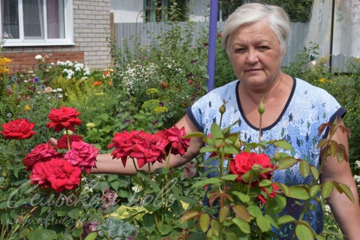 Палисадник жительницы Аксубаевского района утопает в цветах