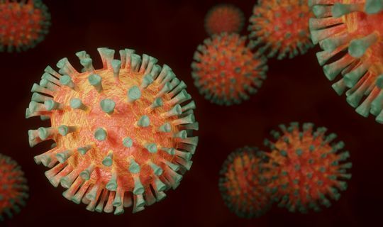 ВОЗ остановила испытания трех лекарств от коронавируса