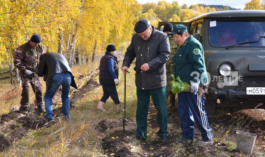 В связи с Covid-19 осенний День посадки леса в Татарстане не будет массовым