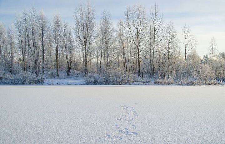 Метеоролог заявила о грядущей «суровой зиме» в России