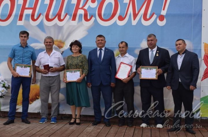 В Аксубаеве в профессиональный праздник работников физической культуры отметили лучших