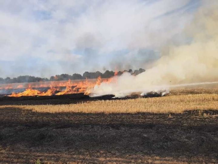 Пожарные тушили горящую траву на поле в Алексеевском районе РТ