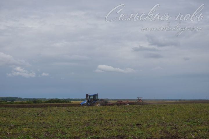 Аксубаевские земледельцы завершили сев озимых