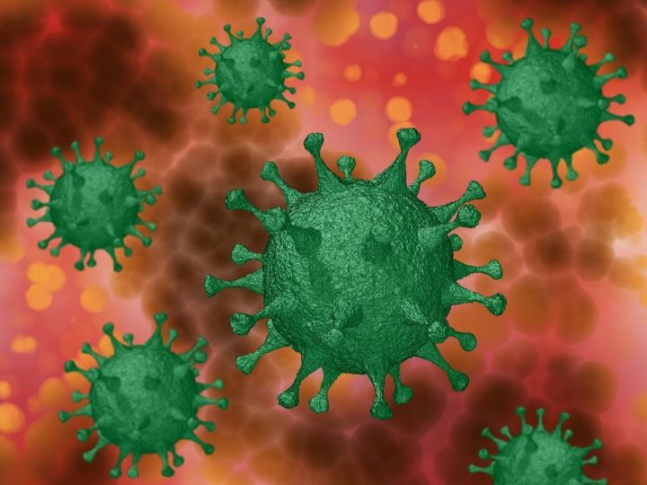 За сутки в Татарстане выявили 24 новых случая заражения коронавирусной инфекцией