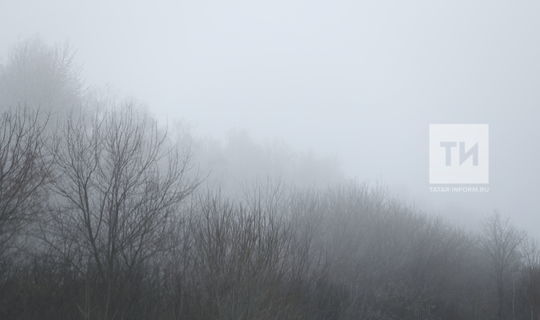 Синоптики Татарстана предупреждают о тумане, метелях и снежных заносах
