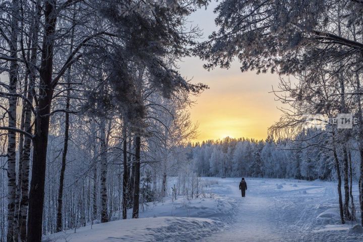 В Татарстане ожидается до 33 градусов мороза