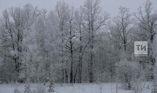 В Татарстане сохранится облачная и снежная погода