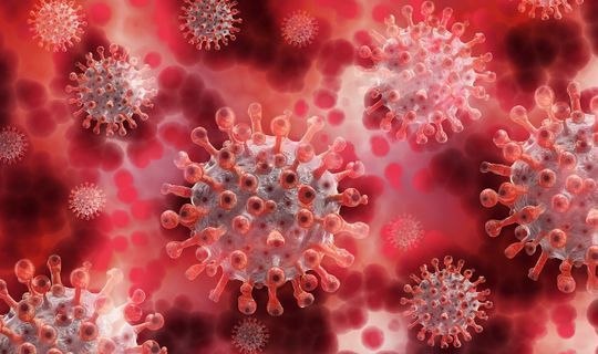 У тяжело переболевших коронавирусом обнаружили иммунитетное преимущество