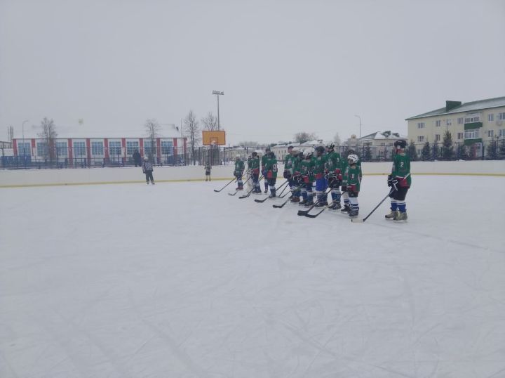 Аксубаевская хоккейная команда на первом месте&nbsp;