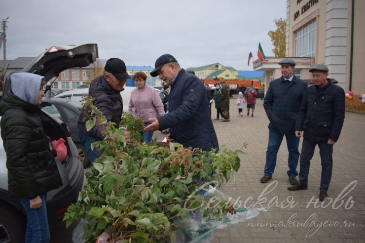 Сельхозярмарка в Аксубаеве собрала весь район