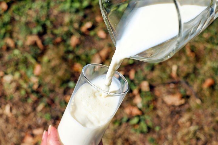 В «Аксу Агро» получают молоко на 5 тонн больше прошлогоднего