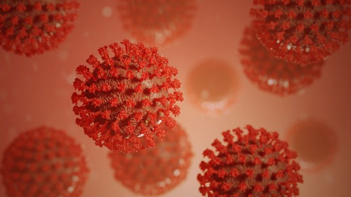 В РТ за сутки подтверждено 100 новых случаев заражения коронавирусом