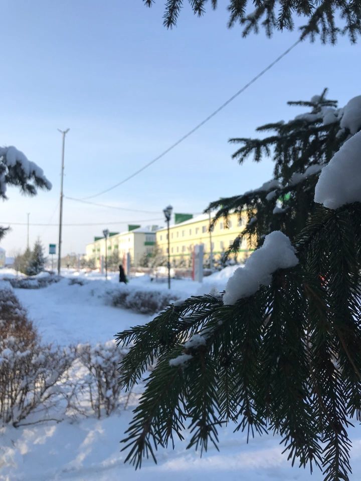 В школах Аксубаевского района будут отменены уроки при сильных морозах