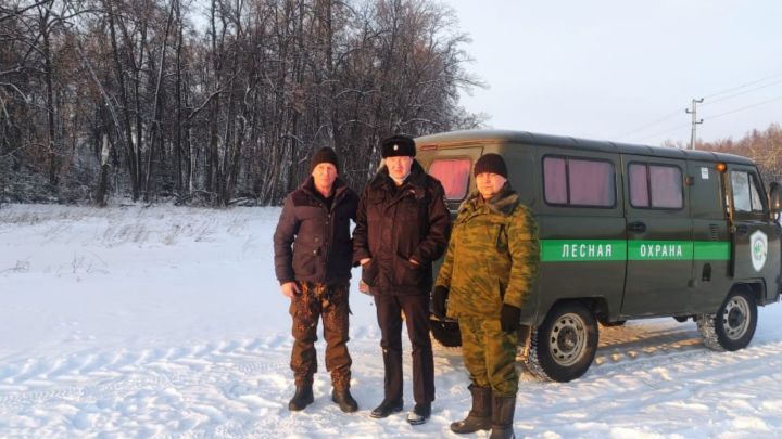 Аксубаевские лесоводы и правоохранители оберегают елки от незаконных порубок