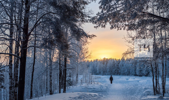 На следующей неделе в Татарстане ожидается до 30 градусов мороза