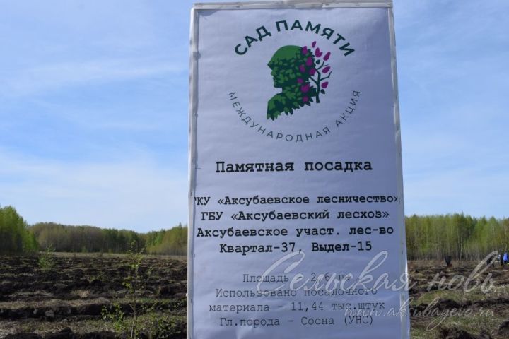 В Аксубаевском лесничестве в память о героях войны вырастит сосновый лес
