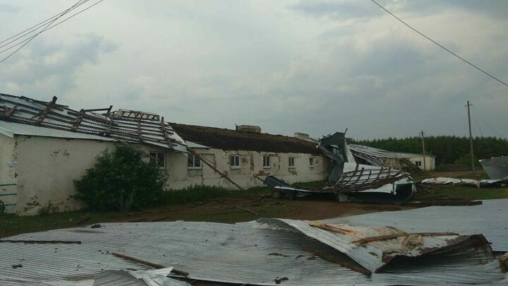 Сильный ветер сорвал кровлю с фермы и домов в двух районах Татарстана
