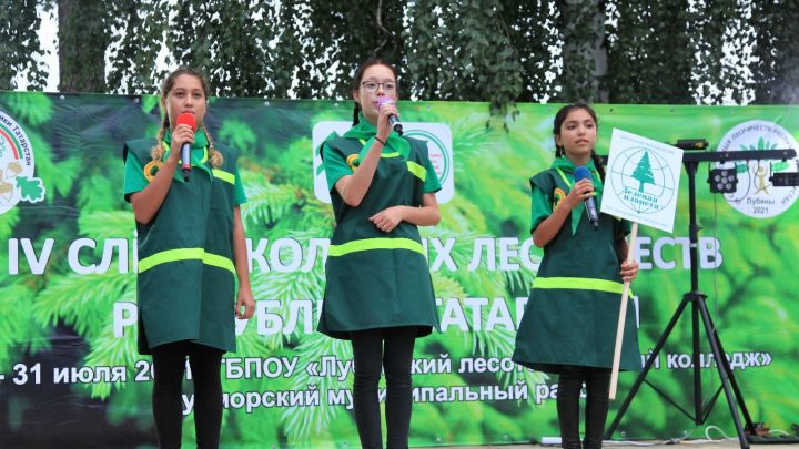 Аксубаевское лесничество и учащиеся района примут участие в открытии IV Слета школьных лесничеств