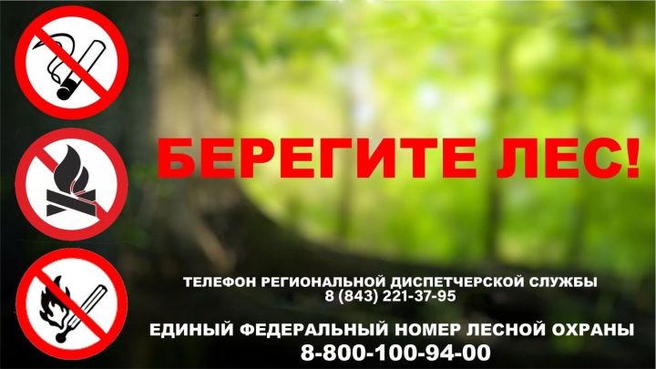 Аксубаевские лесоводы просят сообщать о возгораниях в лесу
