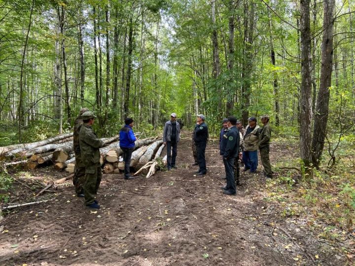 Аксубаевские лесоводы подводят итоги работы на семинарах