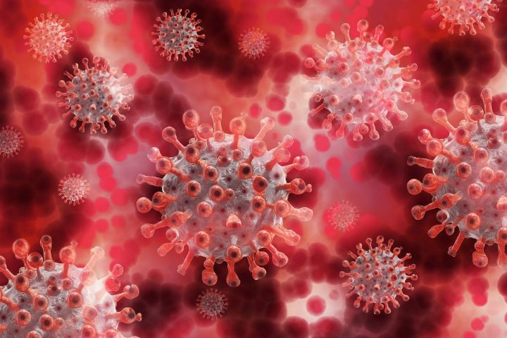 За сутки в Татарстане выявлено 50 новых случаев заражения коронавирусной инфекцией