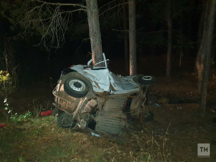 В Татарстане малолитражка вылетела в кювет и ее разорвало о дерево, водитель погиб